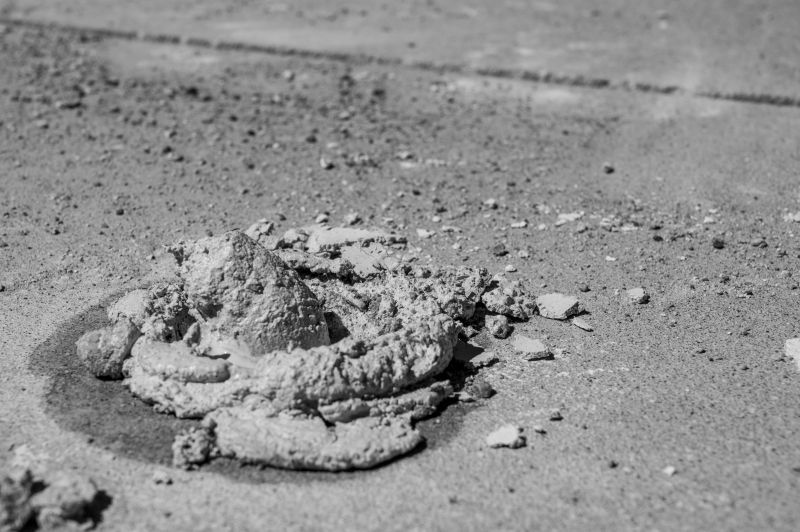 Fall Season Advantages