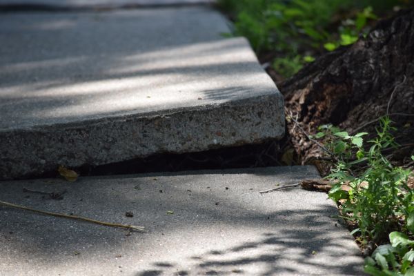 Cost of Sidewalk Leveling in Dothan